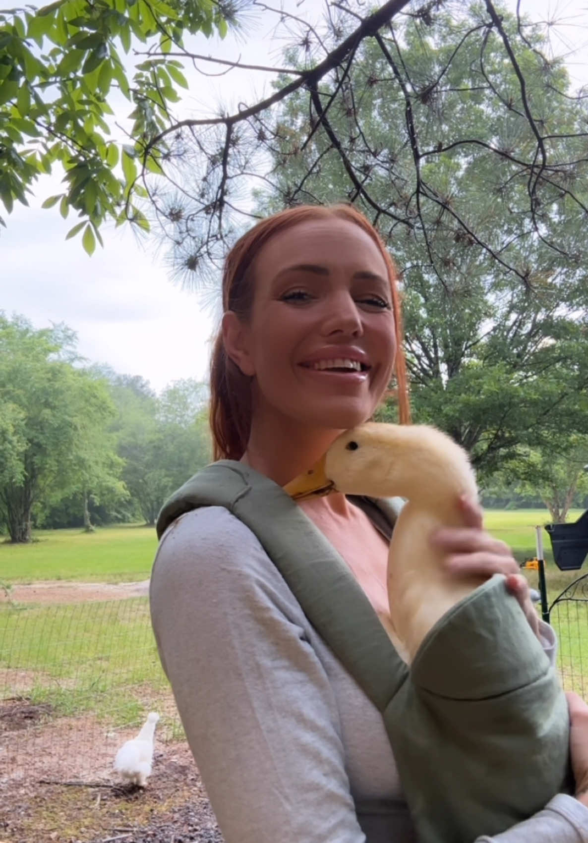 Thank you internet 🥲💕 #duck #ducks #duckling #ducksoftiktok #babyanimals #animals #animalsoftiktok #animallover #cuteanimals #cute #adorable #funny #funnyvideos #humor #farm #farmlife #happy #Love #spreadlove #fyp #fypシ #foryouu #viral #viralvideo #viraltiktok #duckmom #momlife #motherhood #farmtok #homestead #countrylife 