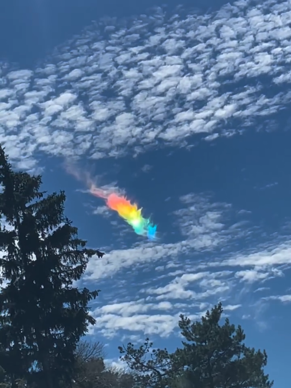 Most Rare Rainbow 🌈  #fyp #LearnOnTikTok #viral #video #foryou #new #amazing #fact #facocean #factflare #viralvideo #foryoupage 