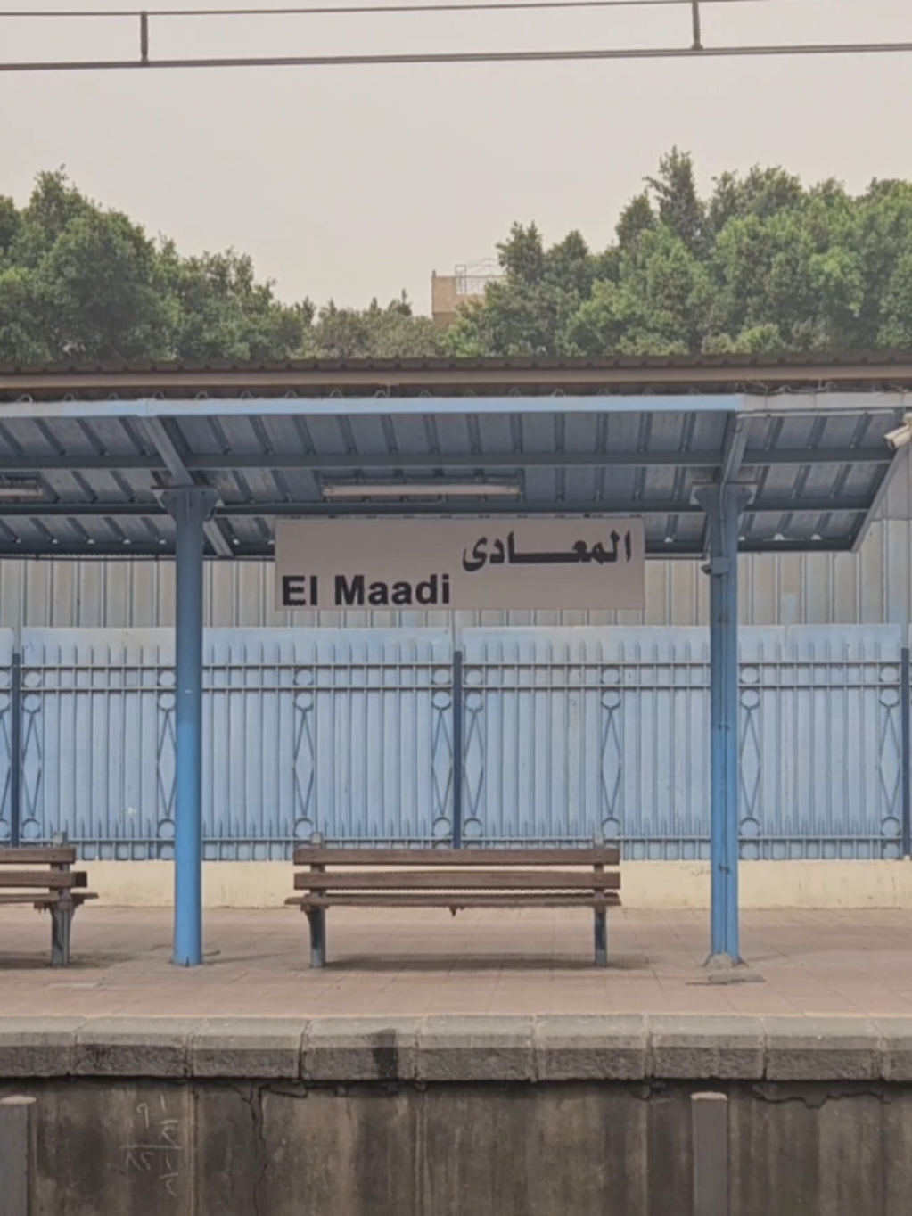 دلوقتي وحدي .... #viral #foru #معادي #مسار_اجباري #fyp #foryou #foryoupage #fyppppppppppppppppppppppp #perfectloop #loop  #Maadi @Massar Egbari  #the.quiet.frame