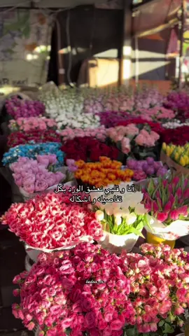 أنا و قلبي نعشق الورد بكل  تفاصيله و اشكاله 💗💗 #CapCut #إسطنبول🇹🇷 #تركيا #بدرة #تصويري📸 #fyp #viral #tiktok #tiktok #foryoupage #viraltiktok #foryou #fypシ゚ #video #trendy #ترند #لايك__explore___ #اكسبلورexplore #اكسبلور_تيك_توك #follow #ستوريات #عباراتكم_الفخمه📿📌 #ورد #الشعب_الصيني_ماله_حل😂😂 #الشعب_الصيني_ماله_حل #مالي_خلق_احط_هاشتاقات #مالي_خلق_احط_هاشتاقات🧢 