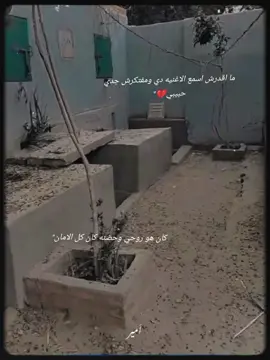 وحشتنييي اووووي ي جدي🥺❤️‍🩹 فرحتي قربت ونت مش معاياا يروح قلبي كان نفسي تبق معاياا في اليوم ده ربنا يرحمك ي جدي 🥺❤️‍🩹