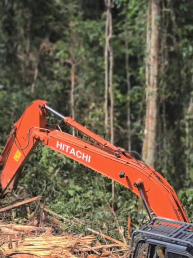Sekali gas, langsung beres🔥 #operatorexcavator  #alatberatindonesia  #ExcavatorLife  #kerjalapangan  #pekerjakeras  #TanpaOperatorTakBergerak  #kerjabukanmain  #gasterus   #excavatorsquad 