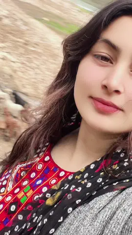 ##پشتون_تاجیک_هزاره_ازبک_زنده_باد🇦🇫 #foryoupageofficiall #unfrezzmyaccount #growmyaccount✅ #foryou #foryou #پشتون_تاجیک_هزاره_ازبک_زنده_باد🇦🇫 @✍𝘼✯︎𝘽✍ 