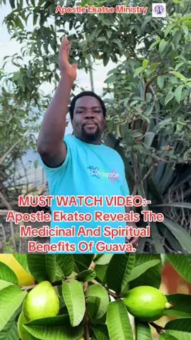 MUST WATCH VIDEO:- Apostle Ekatso Reveals The Medicinal And Spiritual Benefits Of Guava.  #GodIsHere #aklasumovement #Effata #GAGAWUGAGA 
