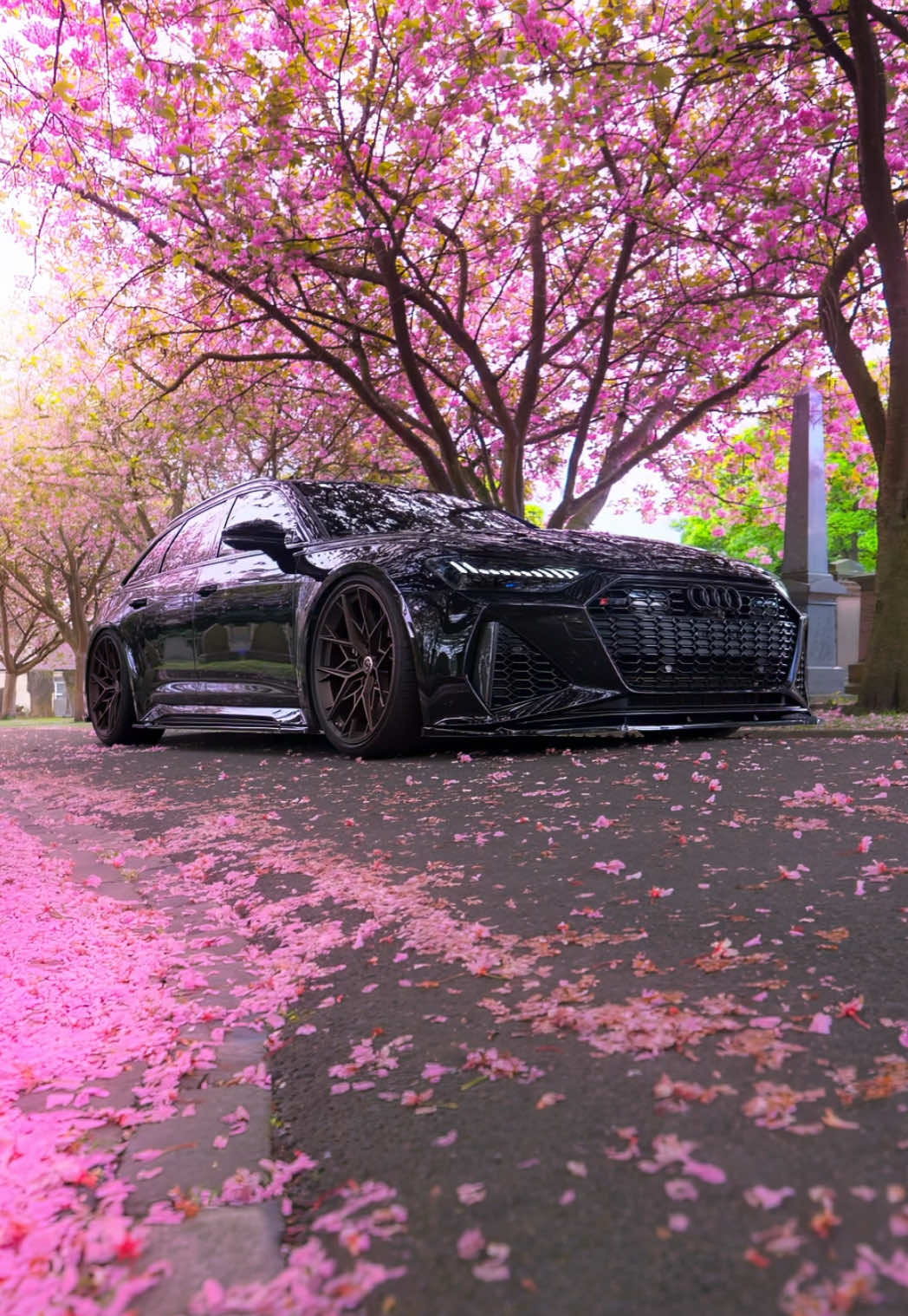 RS6 🌸🌸🖤 #audi #rs6 #cars #foryou #fyp #carsoftiktok #cartok 
