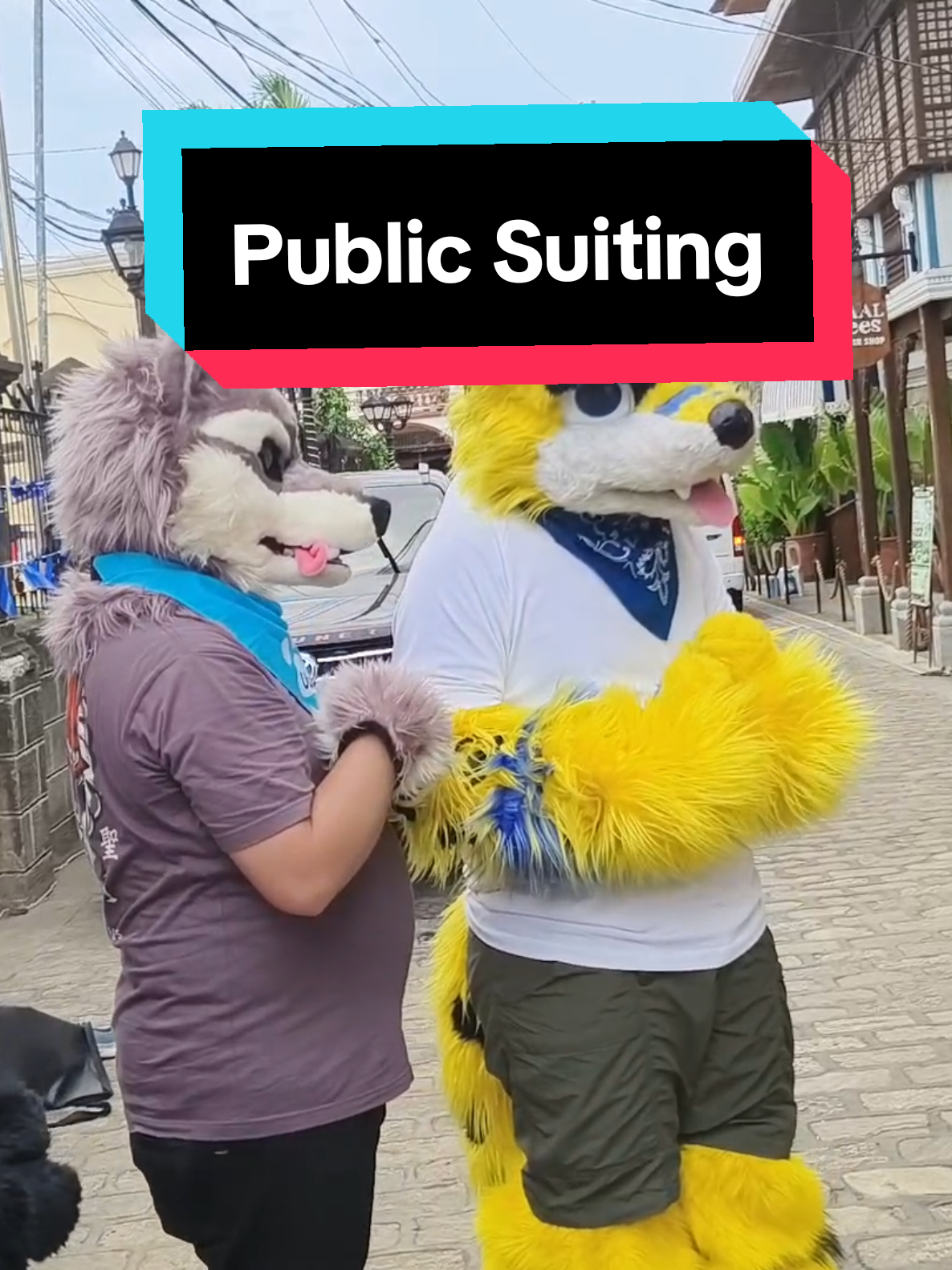 Some snapshots from Taal, Batangas... #fursuit #furry #furryfandom #furrytiktok #furryphilippines 