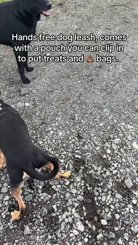 #handsfreedogleash 