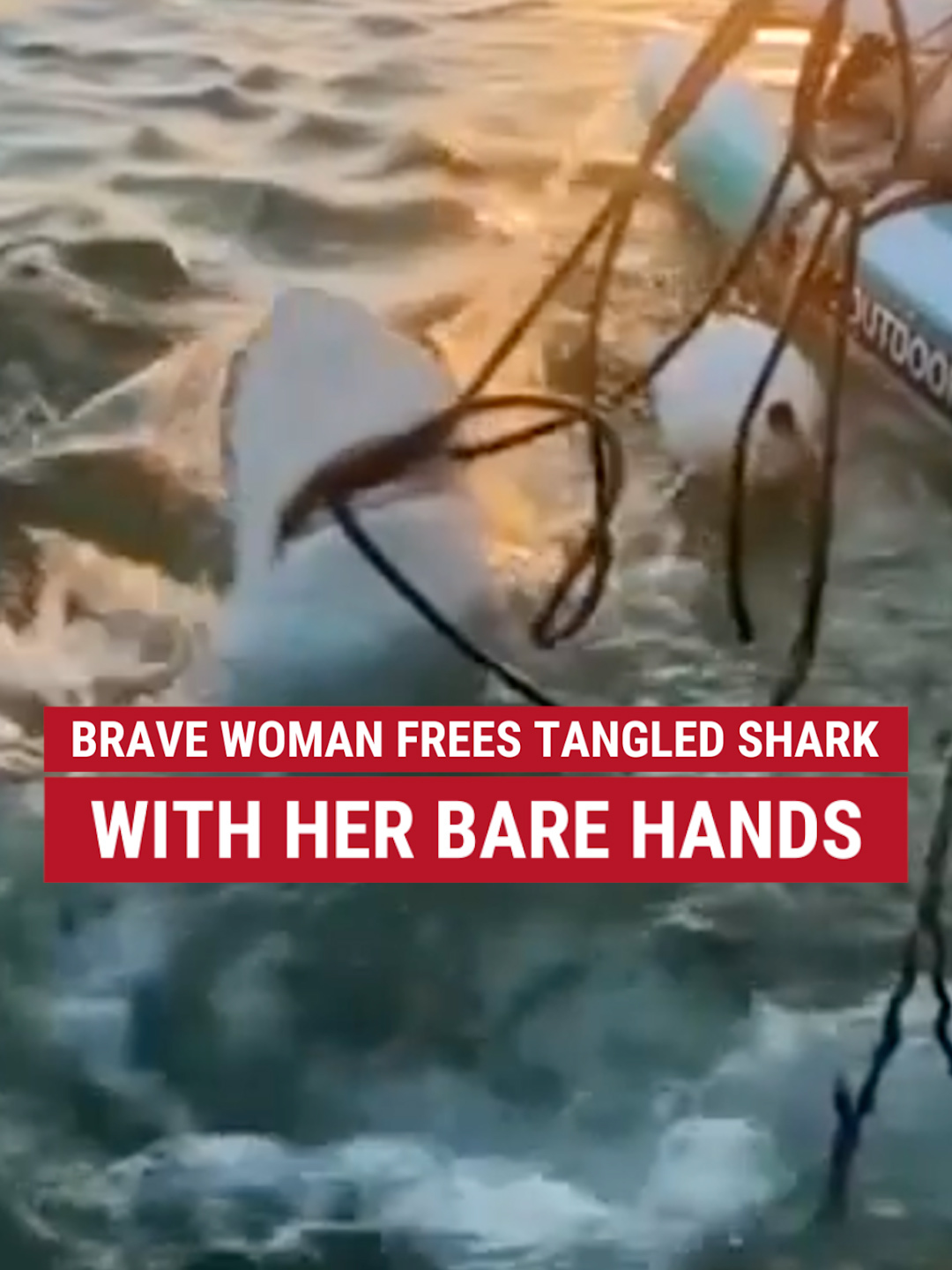 A relaxing day of paddle boarding quickly turned into a rescue mission after one woman spotted a shark trapped in a fishing line.