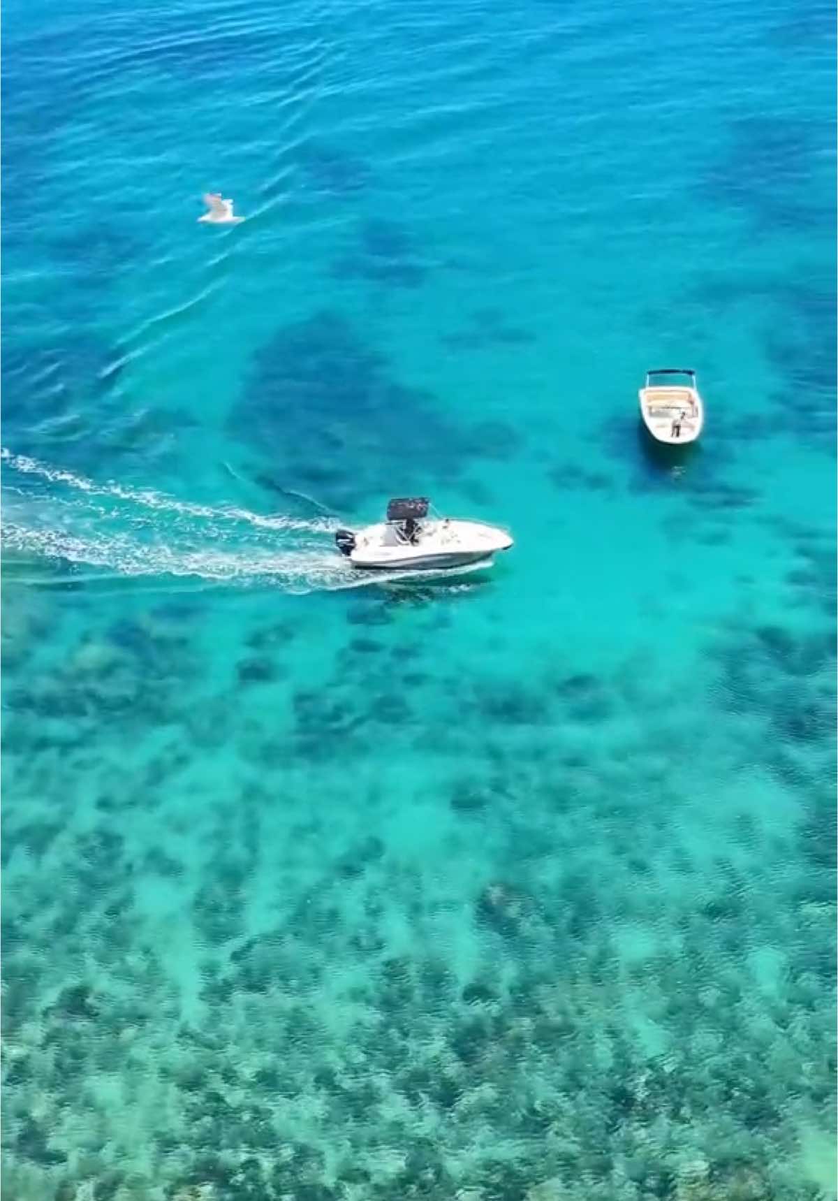 Your Dream Boat Ride Starts Here - Al Hoceïma Edition 🤍💙 #alhoceima #alhoceimaboat #plage #tourist #paradise #morocco 
