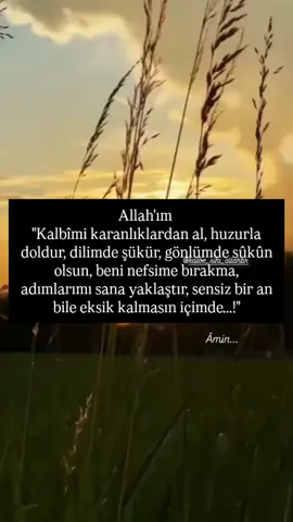 #HAYIRLI #AKŞAMLAR ... #Selâm ve dua ile kalın...🤲🌹🕊️ #umudum #allah1 
