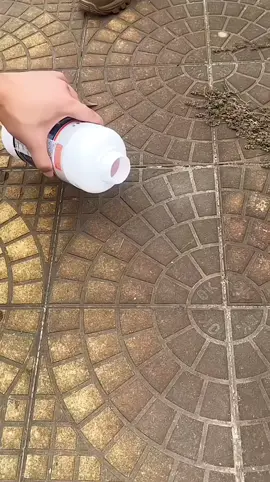 Drop a comment if you want the link! ⬇️ #Carto #TikTokFinds #MustHave #ViralProduct #SmartDeals #shopnow 