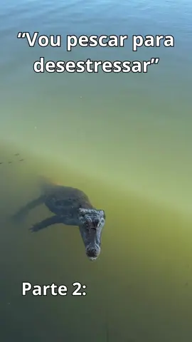 Parte 2 - Jacaré 😂 #pesca #fyp  #viralvideos Créditos @Maronezzi 🎣 