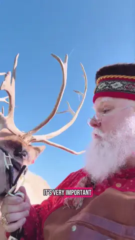When one of my reindeer sneaks too many treats, I have to remind them—even at the North Pole, balance is important! 🍪🥦 Yes, cookies are magical… but so is taking care of your health 💪✨ I told him: “Next time, a carrot before the candy cane!” 🥕😂 #SantaJClaus #ReindeerTrouble #HealthySanta #FunnySanta #HolidayHumor #NorthPoleLife #SantaSays #ChristmasComedy #BalanceIsKey #CookiesAndCarrots