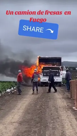 Que opinas ustedes de esto que pasó en la pisca de fresa 🍓 quien tiene la culpa o los accidentes pasa los estaré leyendo en comentarios