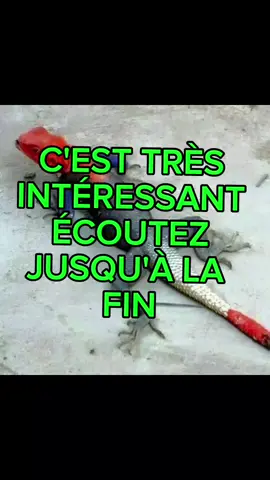 C'EST POUR DÉSENVOÛTÉ ET RETOUR À L'ENVOYER #creatorsearchinsights #viral #viralvideos #pourtoii #percersurtiktok #