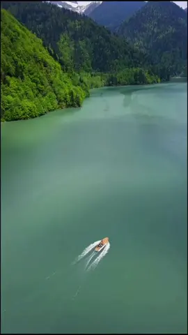 Озеро Рица #abkhazia #абхазия #ДикаяПрирода #РеликтовыеЛеса #ТОПАбхазия #travel 