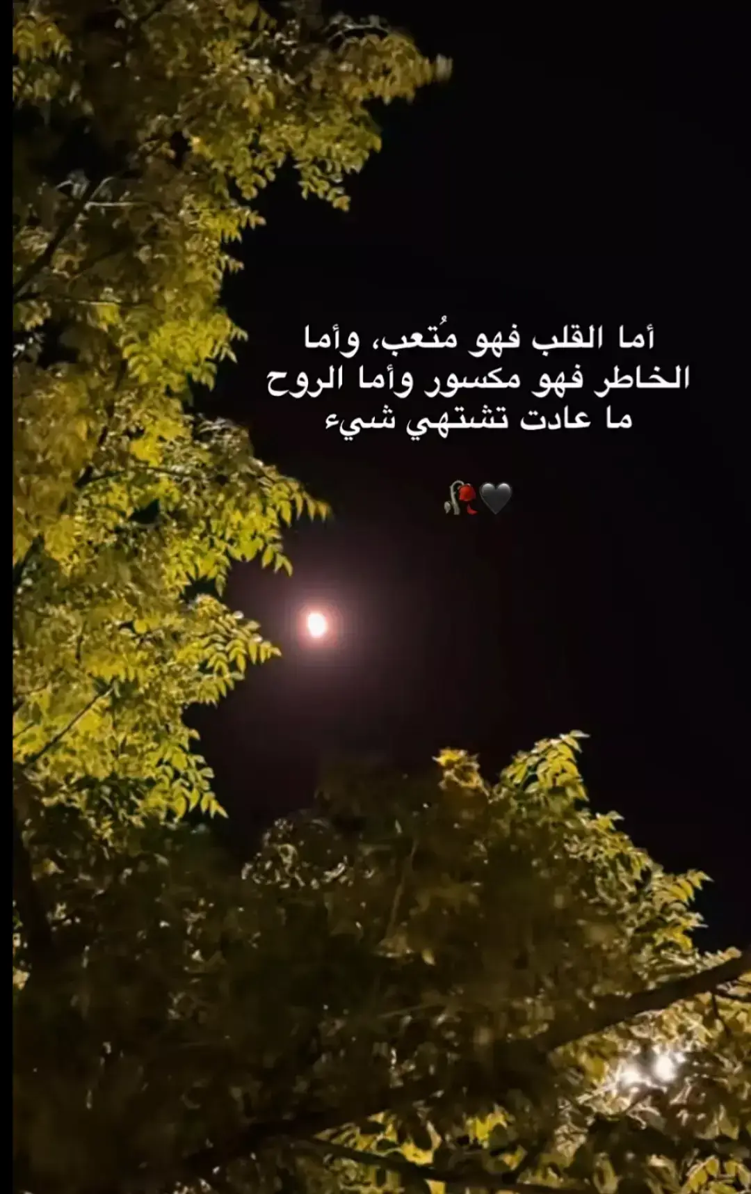#حزن #كتمان #خذلان #الـم #هواجيس 