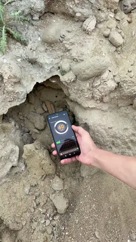 sand treasure found in desert #metaldetector #treasure #treasurehunt #metaldetecting #treasurehunting #usa 