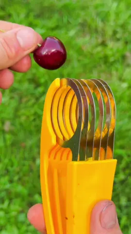 The ending is so satisfying 😍