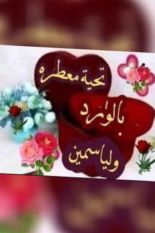 مساء الورد والياسمين للقلوب الاصيلة الطيبة #تحياتي_لجميع_المشاهدين_والمتابعين 