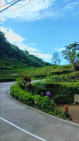 Curug Cikurutug  Desa Kalibaru  Kec Pasirkuda  Kab Cianjur 