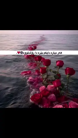😍♥️😭.#foryou #foryoupage #foryou #دایەگیان 