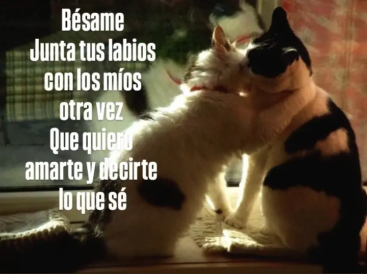 jajajaja😿 beso_josean long #joseanlog #beso #paratii #fyp 