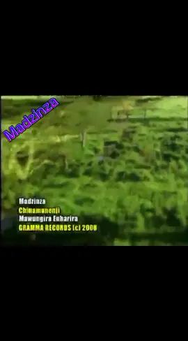 #MawungiraEnharira - Madzinza #zim🇿🇼mbira #mbiramusic #zim🇿🇼culture🛖 #africanculture#fyppppppppppppppppppppppp 