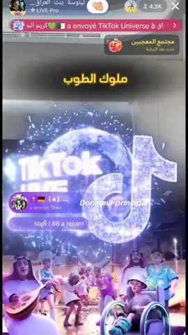 #الجيش_الاخضر💚💚💚 #كريم_الجزائري #كريم #kxrimlive  @كريم الجزائري💚🇩🇿 