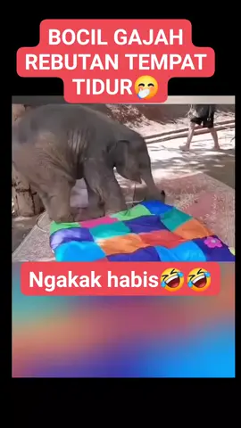 rebutan tempat tidur