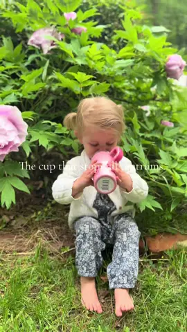 She went from meltdown to manners in 2 seconds flat 🫣✨ This Yaya straw cup is officially my tantrum tamer 🙌 Leak-proof, soft silicone straw, no mess, no drama — and yes, it's the perfect mini version of your Stanley 💖 #momhack #toddlermomlife #millennialmomfinds #amazonmomhacks #yayaapproved #momtokfinds #toddleressentials #leakproofcup #ministanleycup #momhack2025 