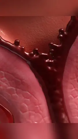 why do women have period/Menstrual #DidYouKnow #healthytips #magnesium #diabetic #diabetes #healthyfood #healthyliving #period #periodtips #menstrual #facts 