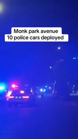 Massive police response 