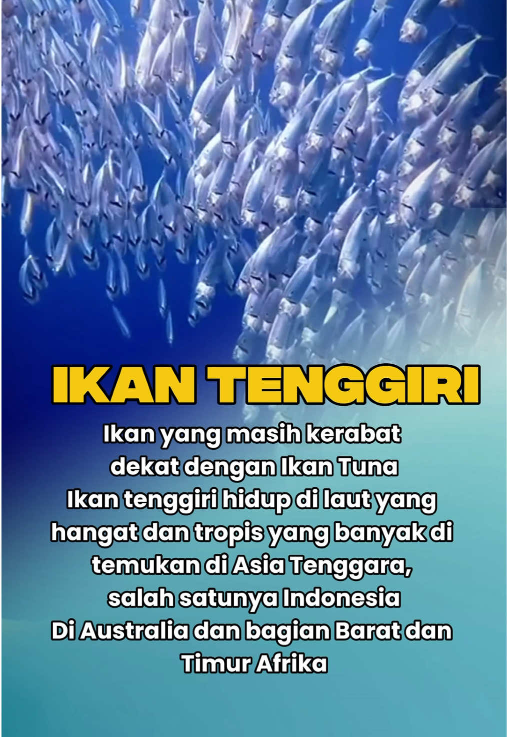 Tahukah kamu? Ikan yang dibersihkan dan langsung dibekukan setelah ditangkap bisa mempertahankan nutrisinya hingga 95%.” Itulah kenapa kami selalu melakukan proses ini secepat mungkin, demi menjaga kesegaran dan kualitas gizi ikan. Yuk, makan ikan segar! Langsung pesan di @MamakNelayan Dari laut ke meja, tanpa drama! #ikansegar #mamaknelayan #f 