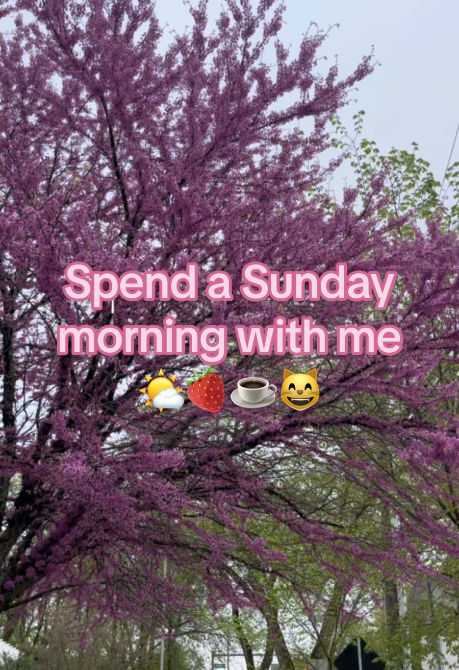 The way i sweat through all my clothes at and AFTER yoga should be considered a crime  #Vlog #fyp #minivlogs #weekendworkout #coffeetok #nespresso #postgrad   @Saie @MERIT Beauty @elfcosmetics @Maybelline NY @L’Oréal Paris @Nespresso @Chobani 