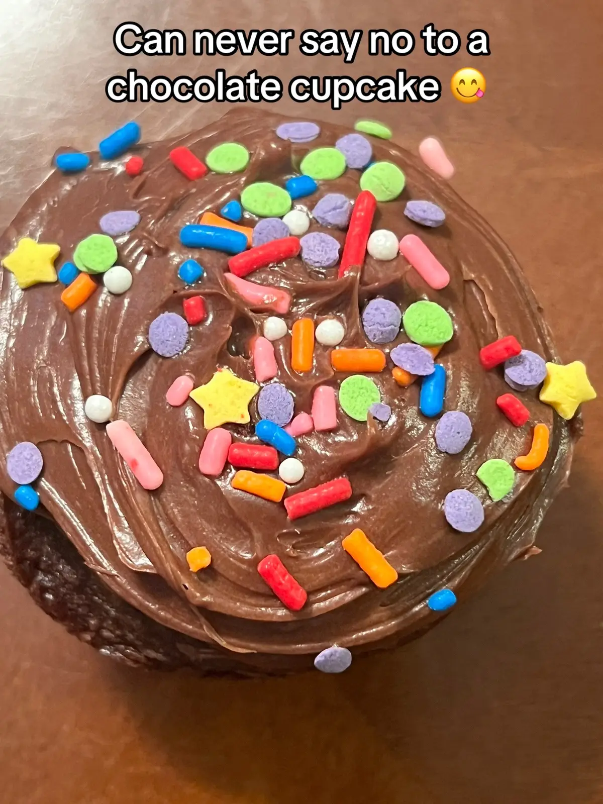 Chocolate therapy: 10/10, highly recommend. #FYP #TikTokFood #BakersOfTikTok #HomeBaking #FoodieTok #BakingTherapy #FoodCravings #ChocolateCupcake #CupcakeLover #DessertTok #SweetTooth #BakingTok #Yummy #Foodstagram #chocolate #follow #viral #sprinkles #delulu 
