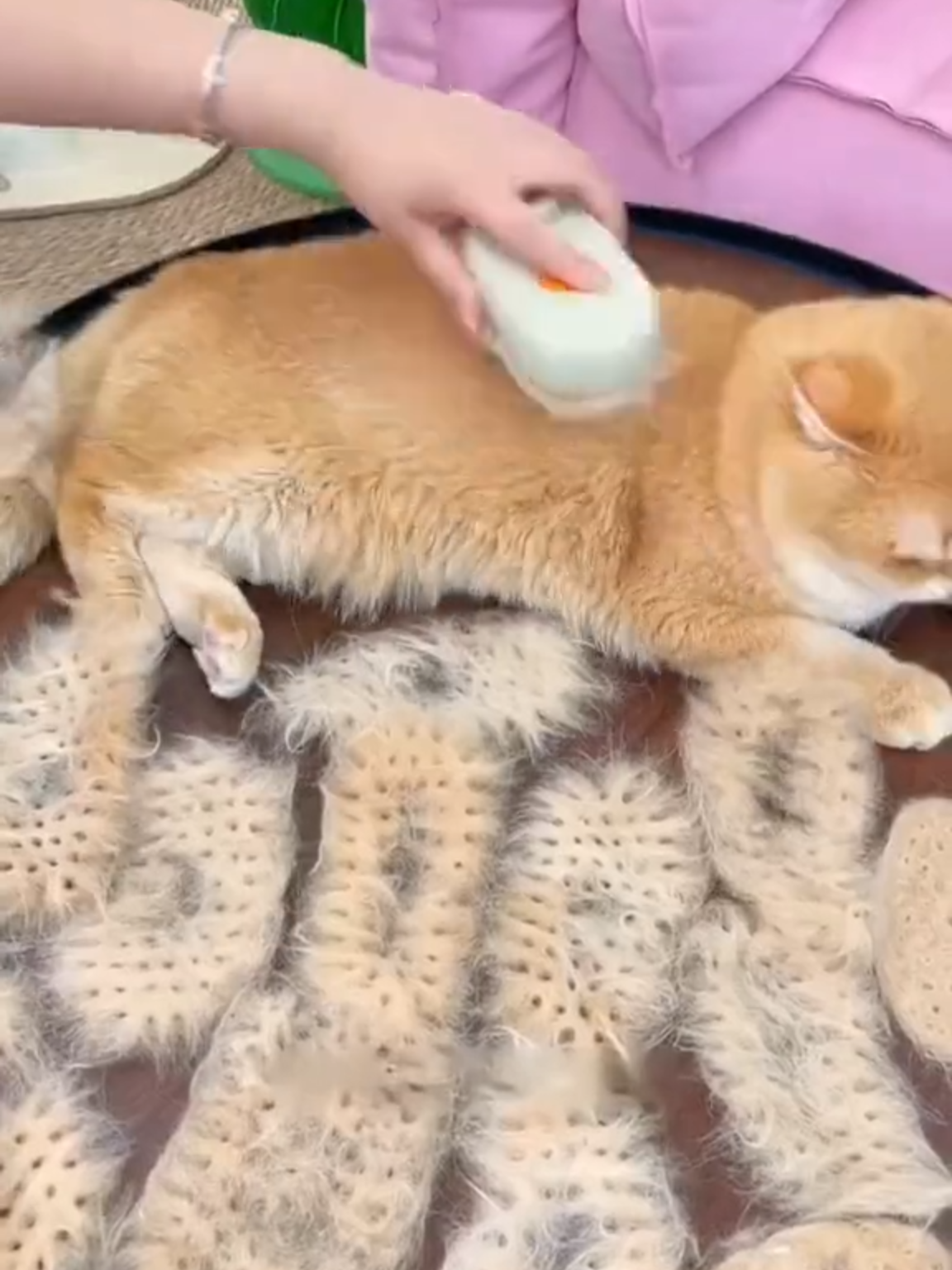 Transform grooming time into a relaxing spa experience with the 3-in-1 Pet Steam Grooming Brush. Designed for both cats and dogs, this multifunctional brush combines gentle steam, detangling bristles, and a soothing massage function to keep your pet looking and feeling their best. The steamy spray softens dirt and loosens hair, making it easier to clean and remove shedding fur without tugging or discomfort. The soft comb glides smoothly through the coat, eliminating tangles and reducing static, while the massaging action improves blood flow and calms anxious pets. Perfect for pets with long, thick, or curly fur, this all-in-one grooming tool helps maintain a shiny, healthy coat with less mess and stress. Whether you're doing a quick refresh or a full grooming session, this brush makes the job easier, cleaner, and more enjoyable—for both you and your pet. 👉 Visit our website 