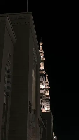 ﴿أَيَحسَبُ الإِنسانُ أَن يُترَكَ سُدًى﴾  التفسير الميسر: أيظنُّ هذا الإنسان المنكر للبعث أن يُترك هَمَلًا لا يُؤمر ولا يُنْهى، ولا يحاسب ولا يعاقب؟ #عبدالله_القرافي #سورة_القيامة #تلاوة_خاشعة #islam #madina 