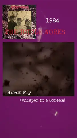 1️⃣9️⃣8️⃣4️⃣ THE ICICLE WORKS  🎸 BIRDS FLY (WHISPER TO A SCREAM) #theicicleworks #birdsfly #whispertoascream #1980s #80s #1984 #84 #80smusic #throwback #fypシ゚viral #fypシ #fyp #trending 