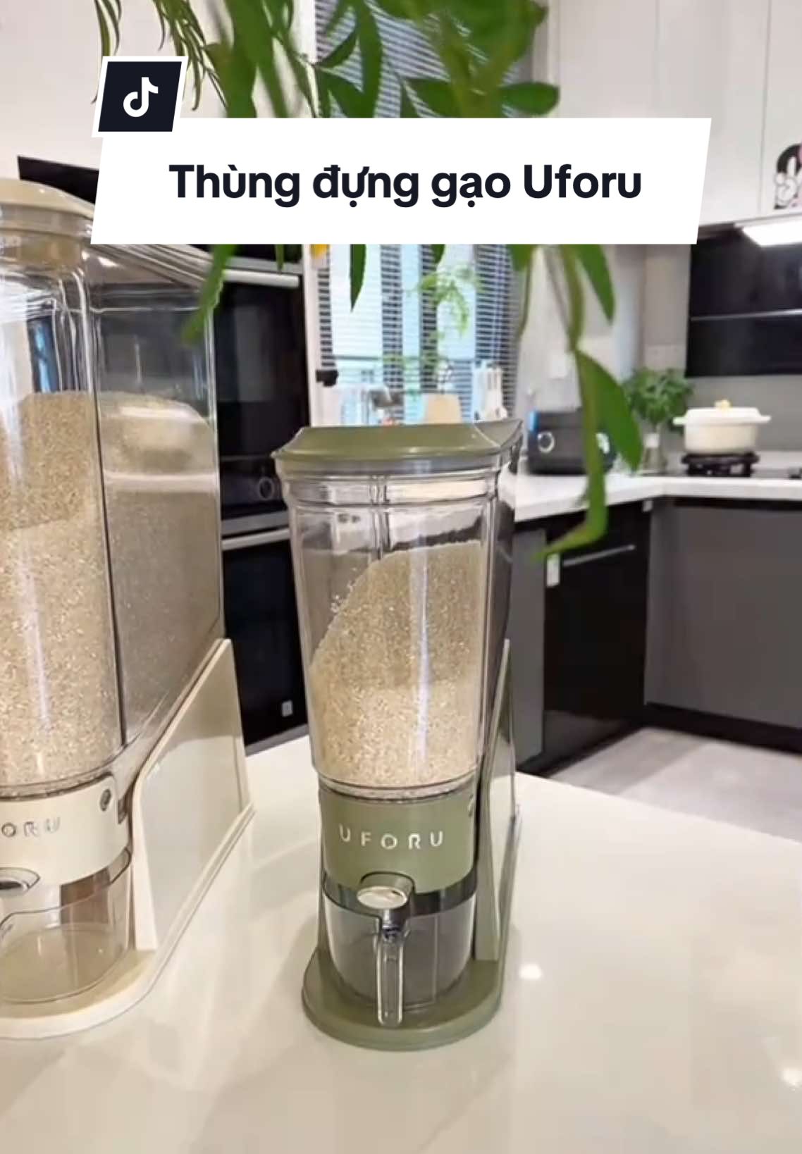 Thùng đựng gạo trong suốt Uforu #thungdunggao #thungdunggaothongminh #Uforu #decorsiuxinh 
