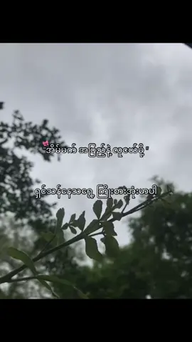 Fighting #crdစာသား #စာတို #view #livephoto #foryoupage 