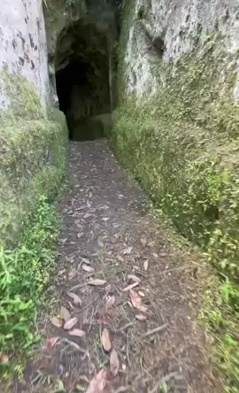 ¡Ey! 👋🏻, ¿Ya tienes plan para junio? Nos vamos a Tierradentro, un destino lleno de historia, cultura y paisajes que te sorprenderán.🌿 💬 Conoce el tesoro ancestral de Colombia en un viaje grupal que no vas a olvidar. 🍃 Viaja con buen parche, guía local y todo bien organizado. 🗓️ Fecha disponible: 👉🏻 29 de Junio.  📲 Reserva ahora: 📞 + 57 320 649 8124 📞 +57 312 312 2192 🌐 O visita:  destinostours.com andescolombiadventures.com  #toursgrupales #toursfamiliares #turismo #vacaciones #conectarconlanaturaleza #colombia #tours #viaje #experienciaunicaeinolvidable #experienciaunica #viajesengrupo #destinostours #parquearqueologicodetierradentro #inza #cauca #arqueologia #piramideinza #piramide 