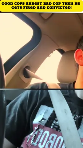 1 Citizen Stops Police