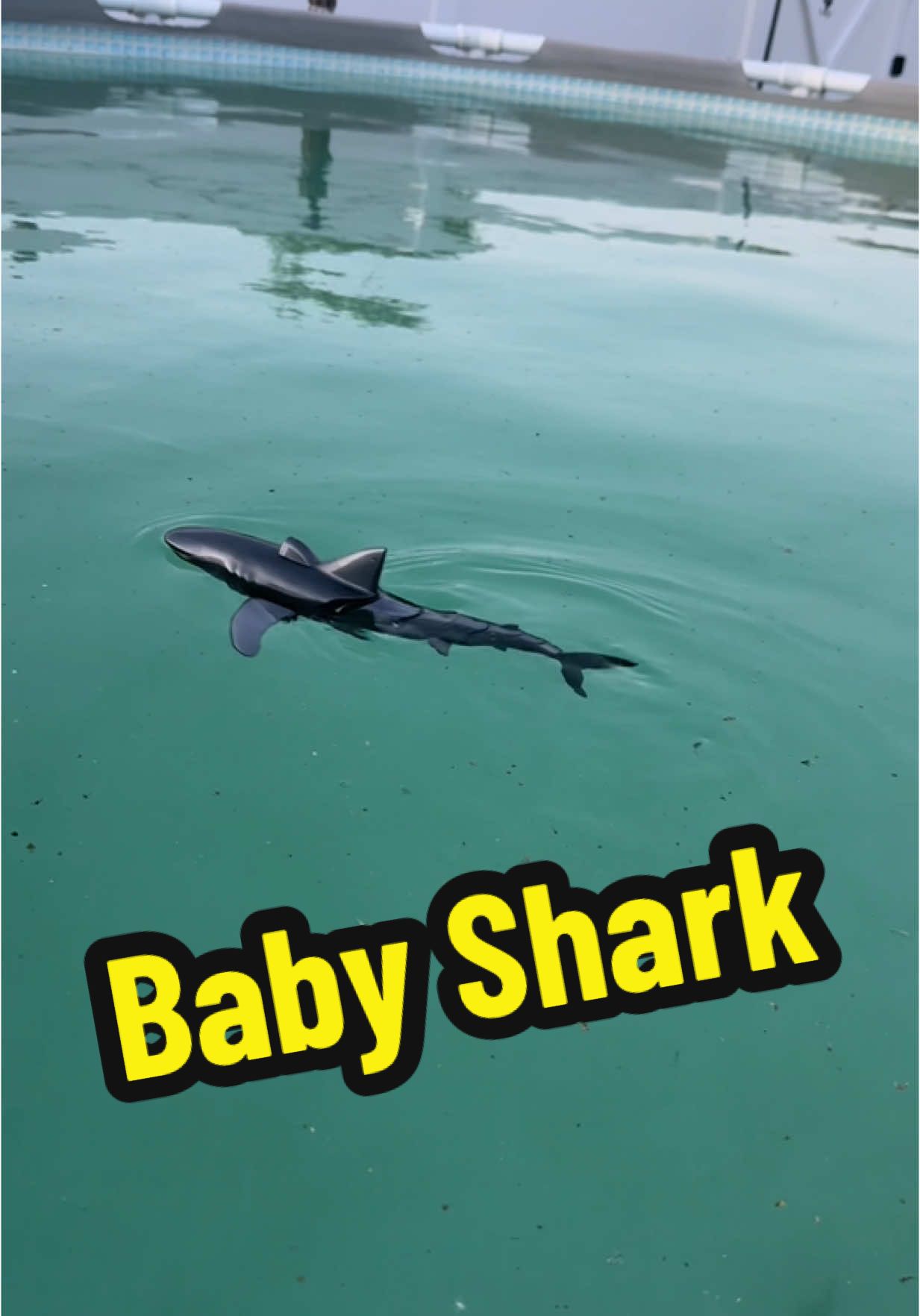 This RC shark turns any pool into Shark Week! Remote-controlled chaos with jaws of fun — who’s brave enough to try it? #RCShark #PoolToyGoals #SummerFun #SnagItNowDeals #TikTokMadeMeBuyIt
