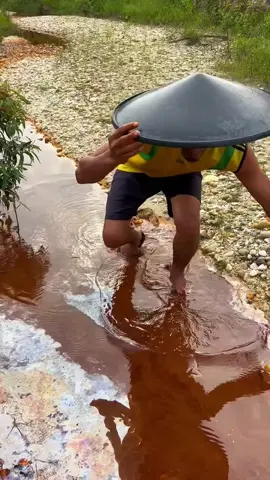 Looking for gold and panning for gold buried in river walls #viralvideo #goldhunter #goldpanning #mininggold #golddiscovery #foryou #foryoupage 