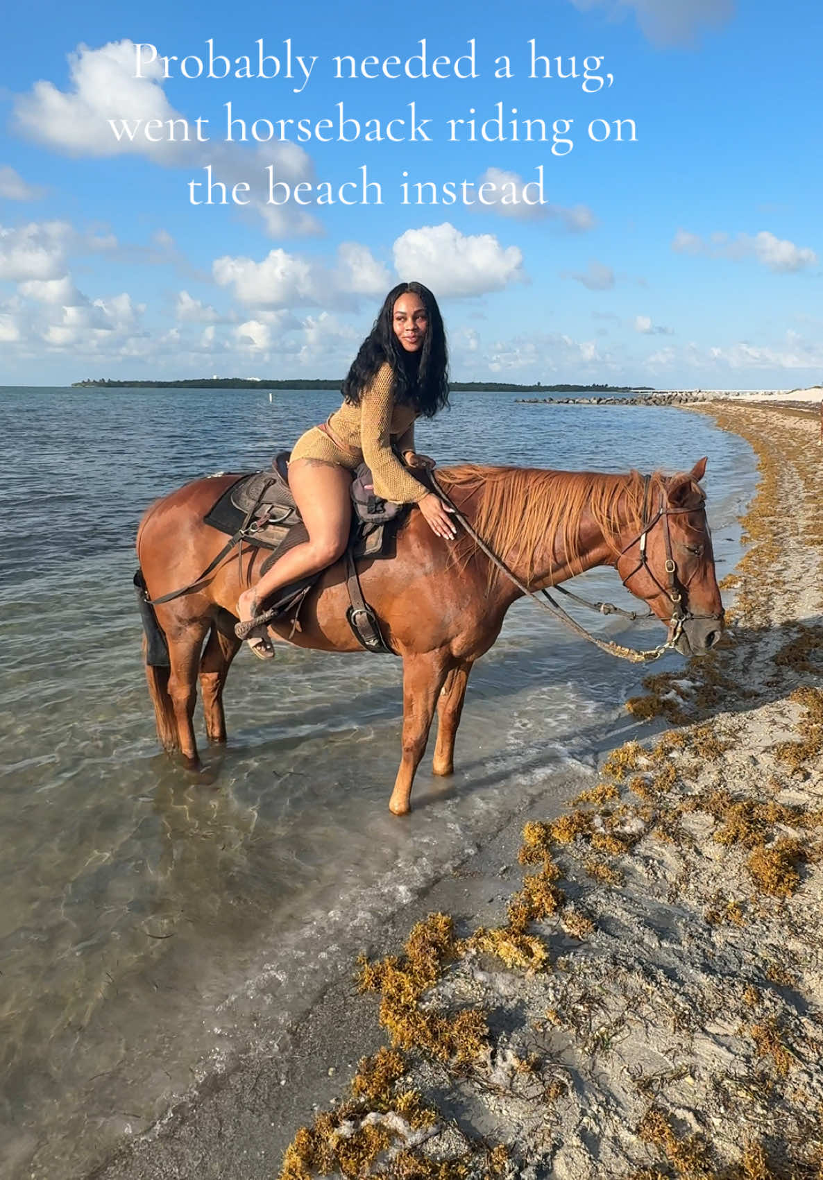 Just me, Penny 🐎, & the water. #fyp #miamibeach #horses 