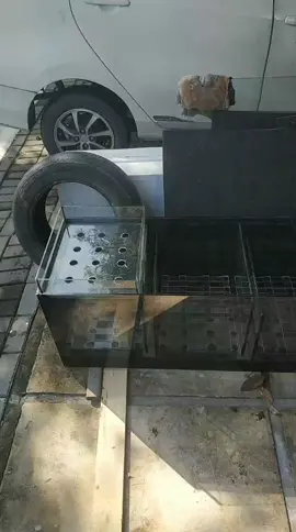 Sump filter dengan bottom drain back wash pipa full TY #sumpfilter #filreraquarium #bikinaquarium #aquarium #aquariumfish #hobbyfish #goldfish #predatorfish #arowana #arowanafish #arwana #jualaquarium #aquariumcustom 