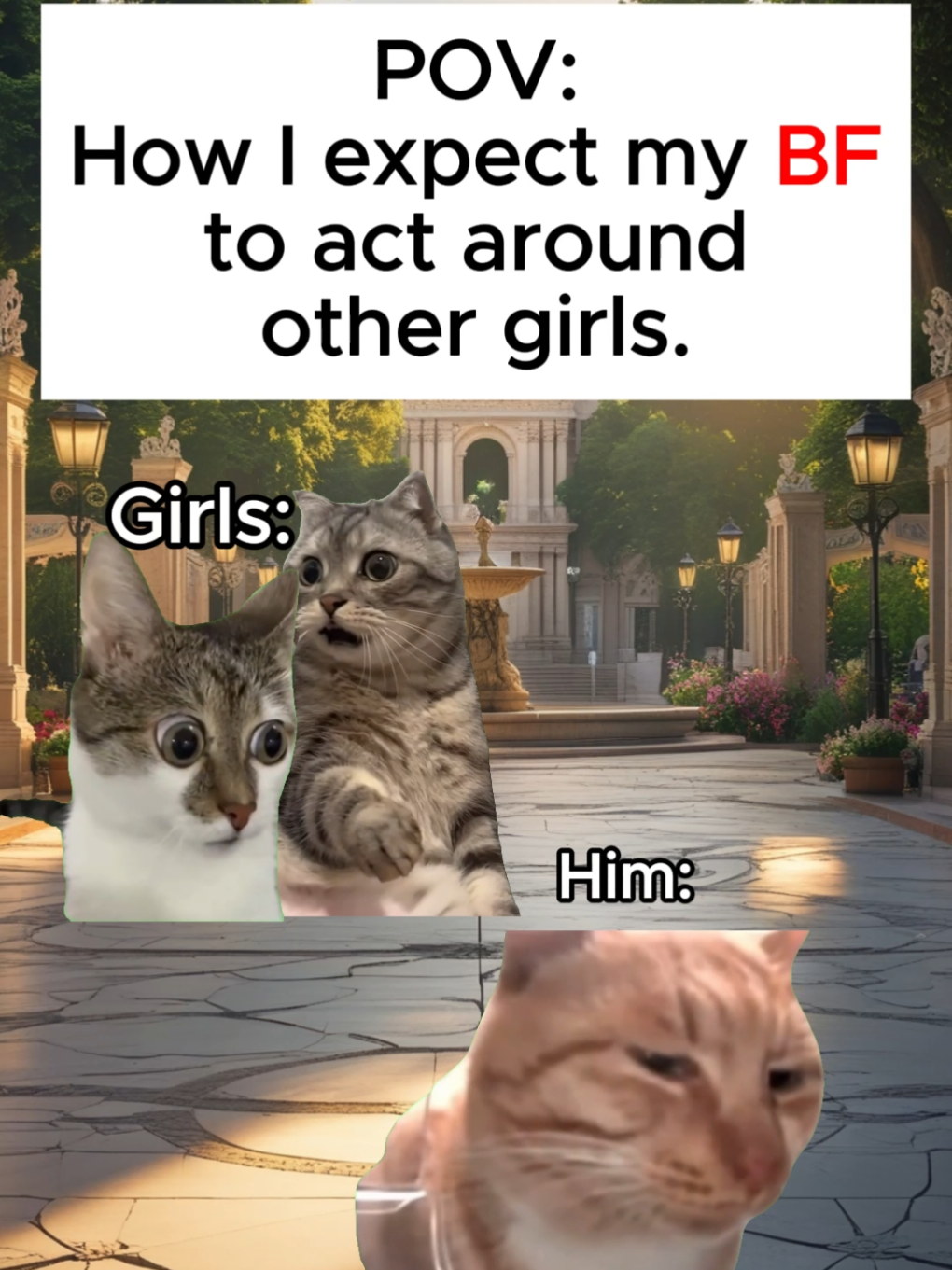 How I expect my boyfriend to act around other girls #cat #catsoftiktok #couple #couplegoals #california 