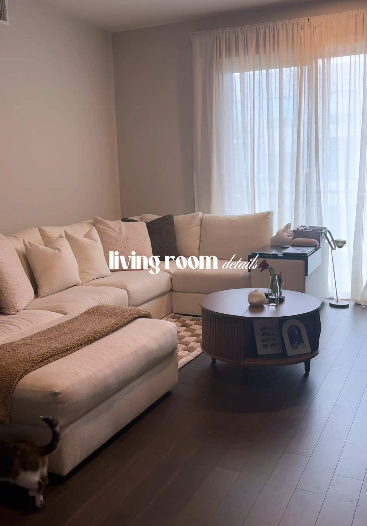 living room details #homedecor #livingroom #coffeetable 