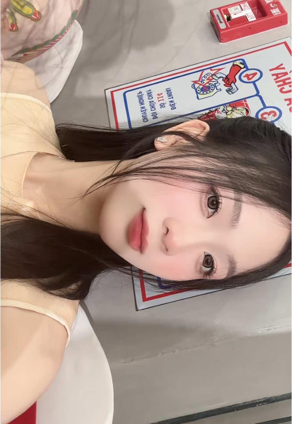 Xin lũiiii